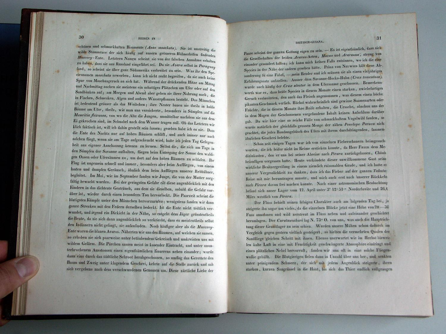 ZZ-RISC48,S.030 Crax,Anas,Penelope,Ara 